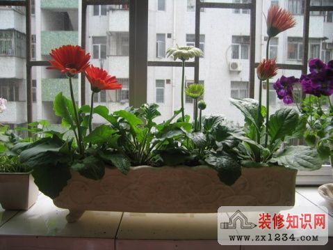 董易奇:给孩子营造个舒适的卧室