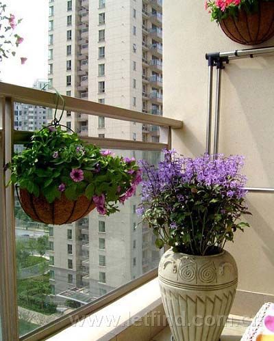 好运家居<a href=http://www.zhuangxiuzhishi.com/fengshui/ target=_blank class=infotextkey>风水</a>从阳台布局开始,家居<a href=http://www.zhuangxiuzhishi.com/fengshui/ target=_blank class=infotextkey>风水</a>布局,阳台<a href=http://www.zhuangxiuzhishi.com/fengshui/ target=_blank class=infotextkey>风水</a>,家居<a href=http://www.zhuangxiuzhishi.com/fengshui/ target=_blank class=infotextkey>风水</a>,家居<a href=http://www.zhuangxiuzhishi.com/fengshui/ target=_blank class=infotextkey>风水</a>学