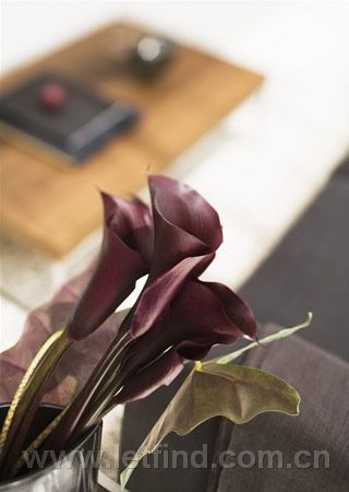 新婚燕尔超小房型的五款技巧 让家鲜亮视觉感,新婚燕尔,小户型装修,小房型装修技巧,装扮新家